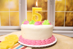 Number Birthday Candles