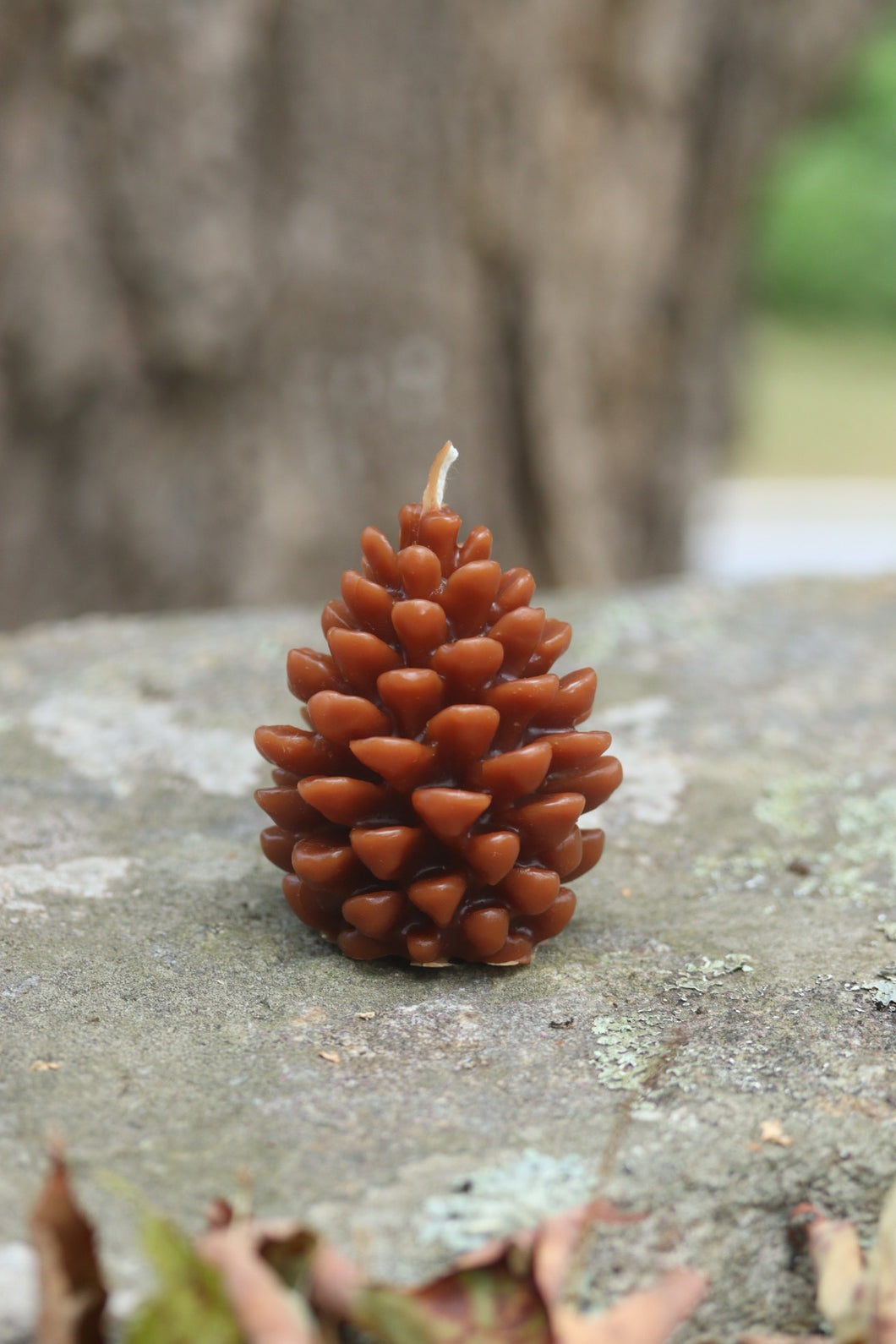 Festive Pinecone Beeswax Candle