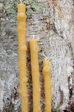 Load image into Gallery viewer, Birch Branch Taper Candles (Pair)