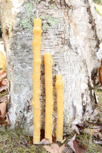 Load image into Gallery viewer, Birch Branch Taper Candles (Pair)