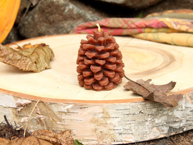 Festive Pinecone Beeswax Candle